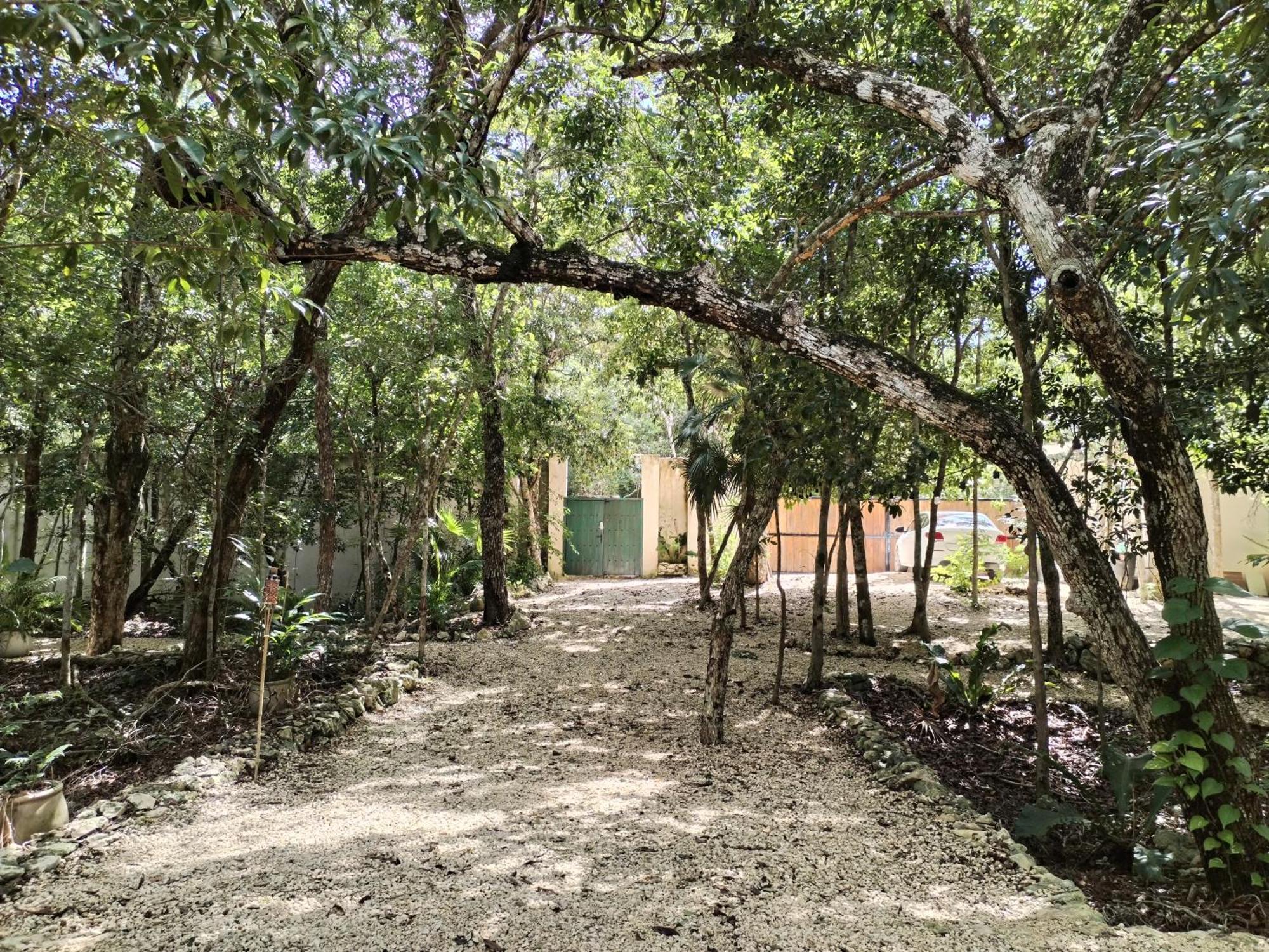 Saasil Kaax Vila Chemuyil Exterior foto